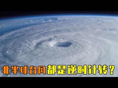 颱風為什麼是逆時針 花和尚刺青圖